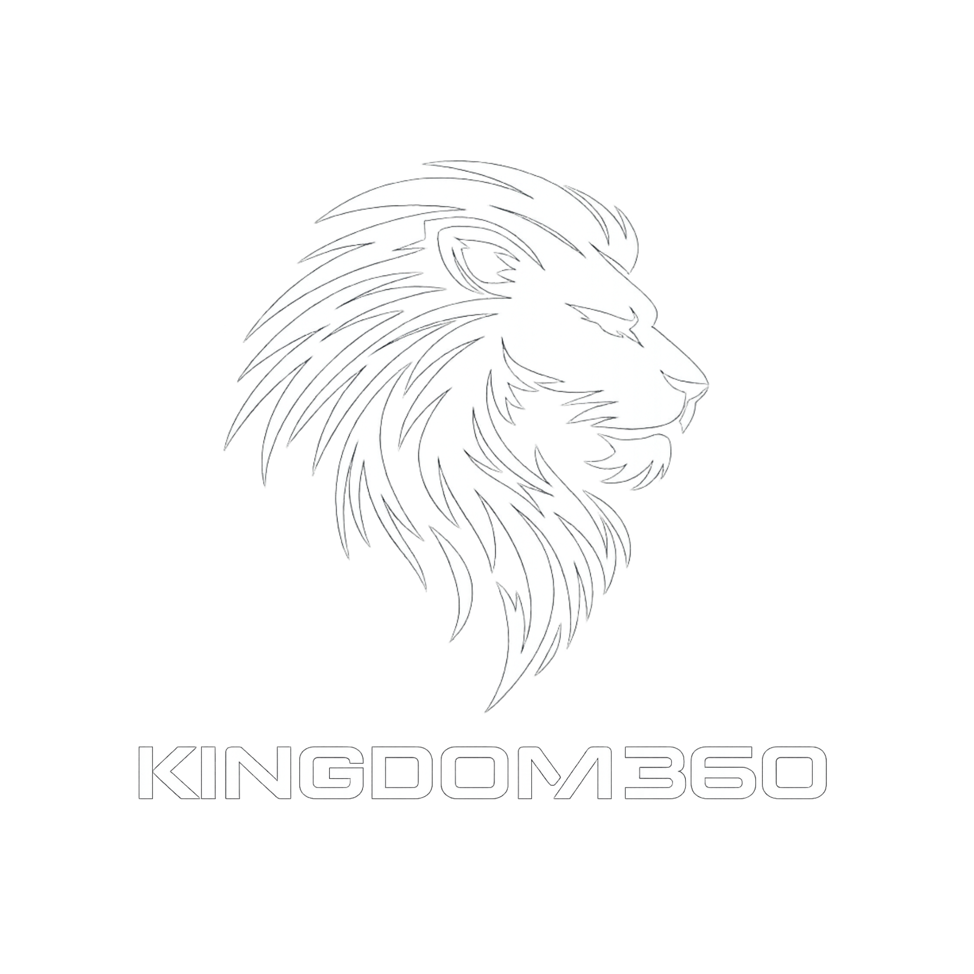 K360 Portfolio Icon